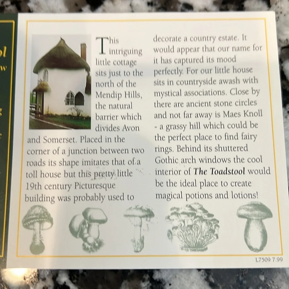 Lilliput Lane The Toadstool - Picture 8 of 9